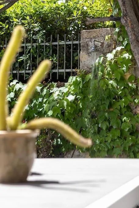 Il Giardino Tra Cielo E Mare Daire Porto Venere